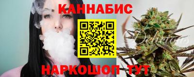 шишки Балашиха