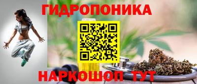 шишки Балашиха