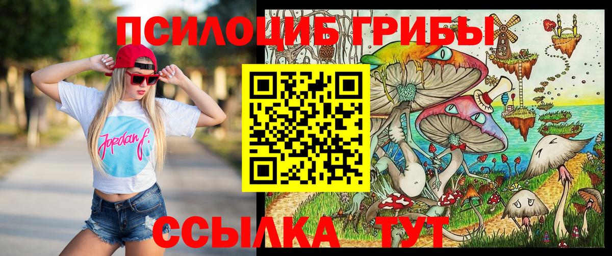 Галлюциногенные грибы Psilocybine cubensis  Вход с VPN  Галлюциногенные грибы Psilocybe  Гагарин 