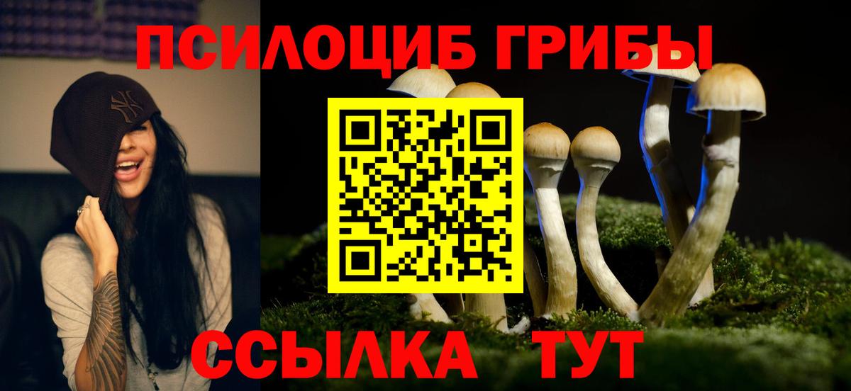 Галлюциногенные грибы MAGIC MUSHROOMS Гагарин